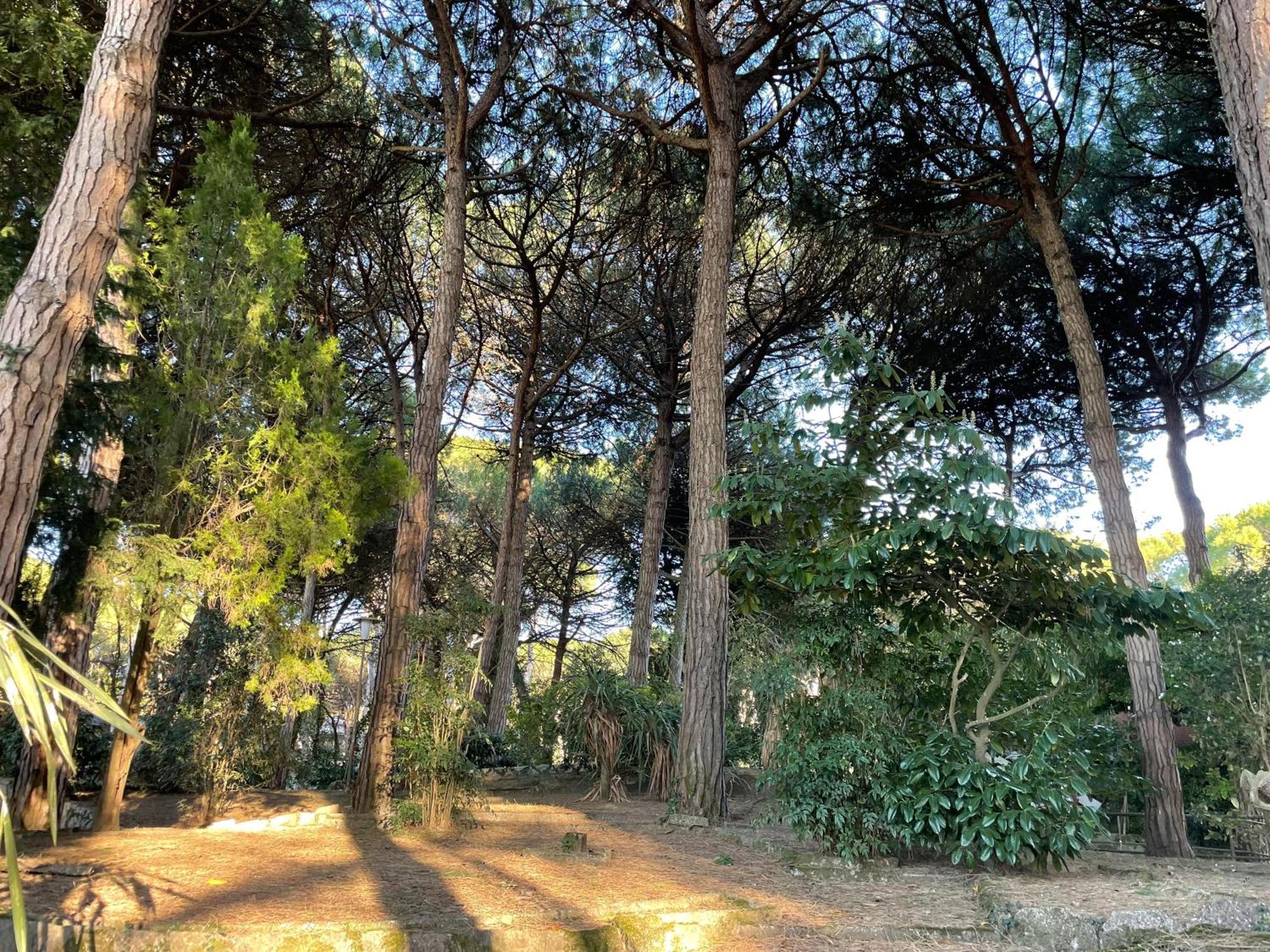 Appartement Alba Nel Cuore Della Pineta *