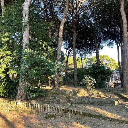 Appartamento Villa Alba Nel Cuore Della Pineta Lido di Jesolo Exterior photo