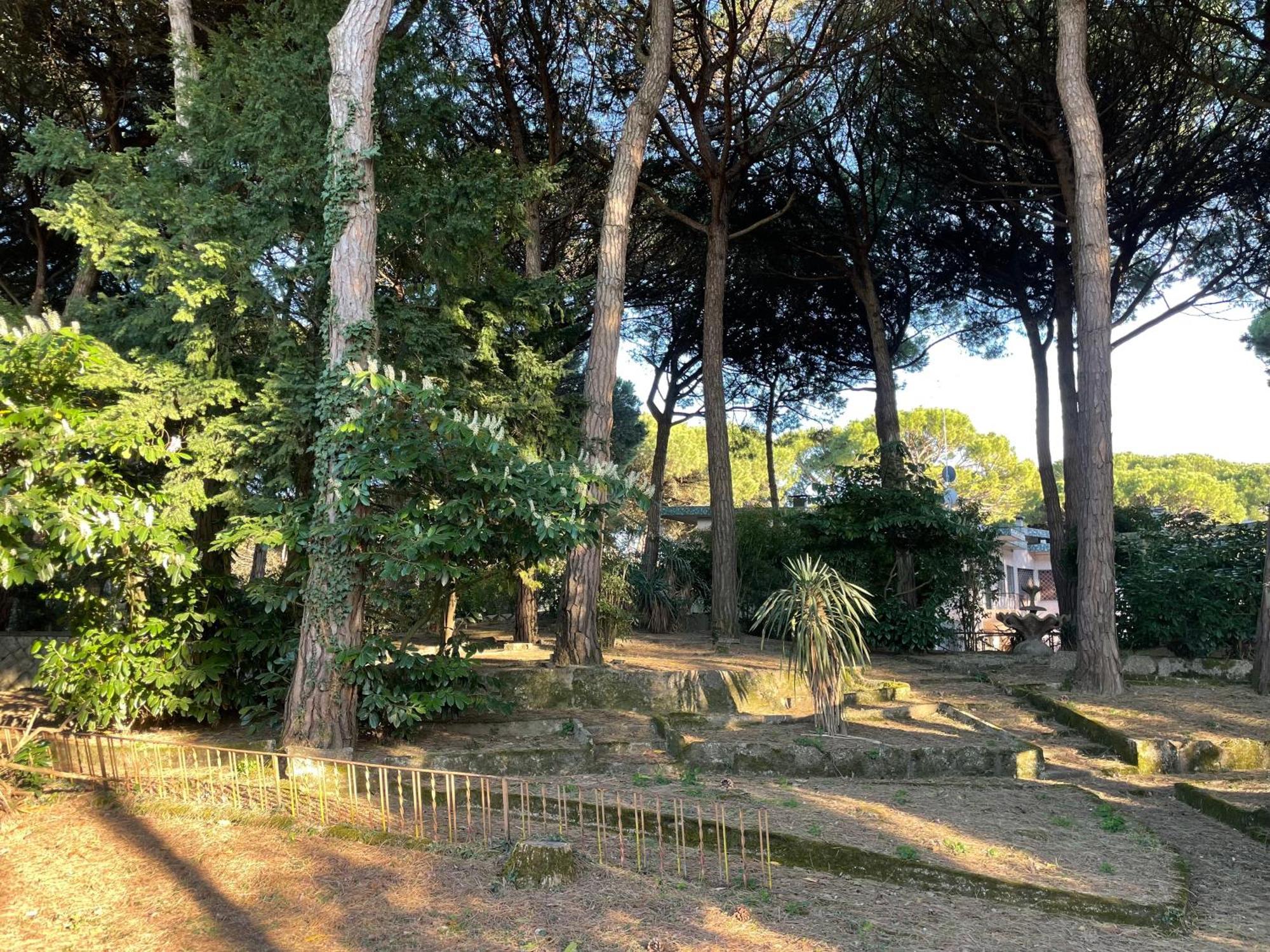 Alba Nel Cuore Della Pineta Lido di Jesolo